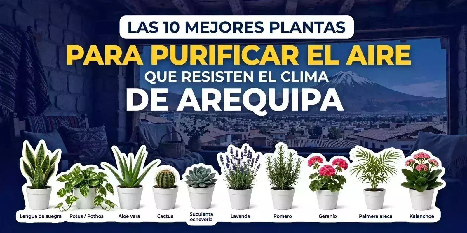 Las 10 mejores plantas que mejoran la Calidad del Aire Interior y soportan el clima de Arequipa?